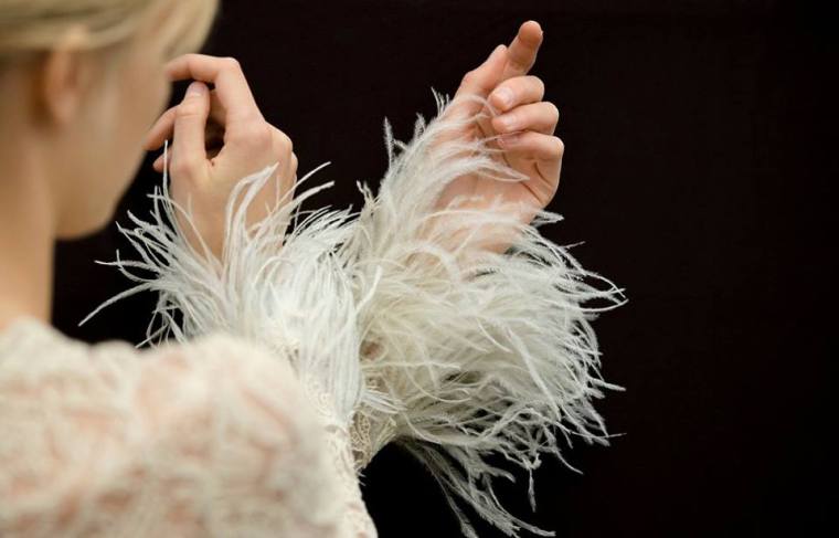 14322231_1225265477525605_3340073824185775887_n